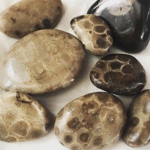 Meet your Posher, Jenny